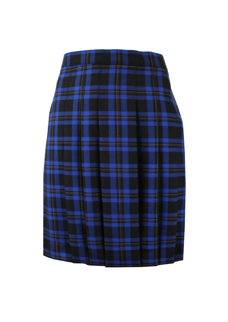 Garin College Skirt Tartan